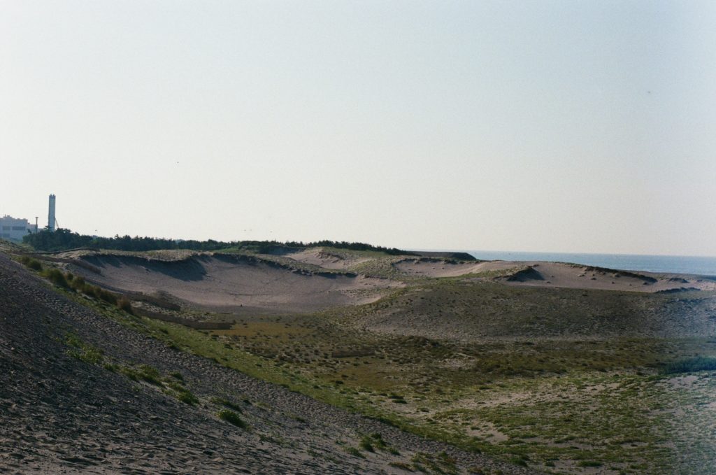 Sand Dunes, Japan, Flow, Migrnats