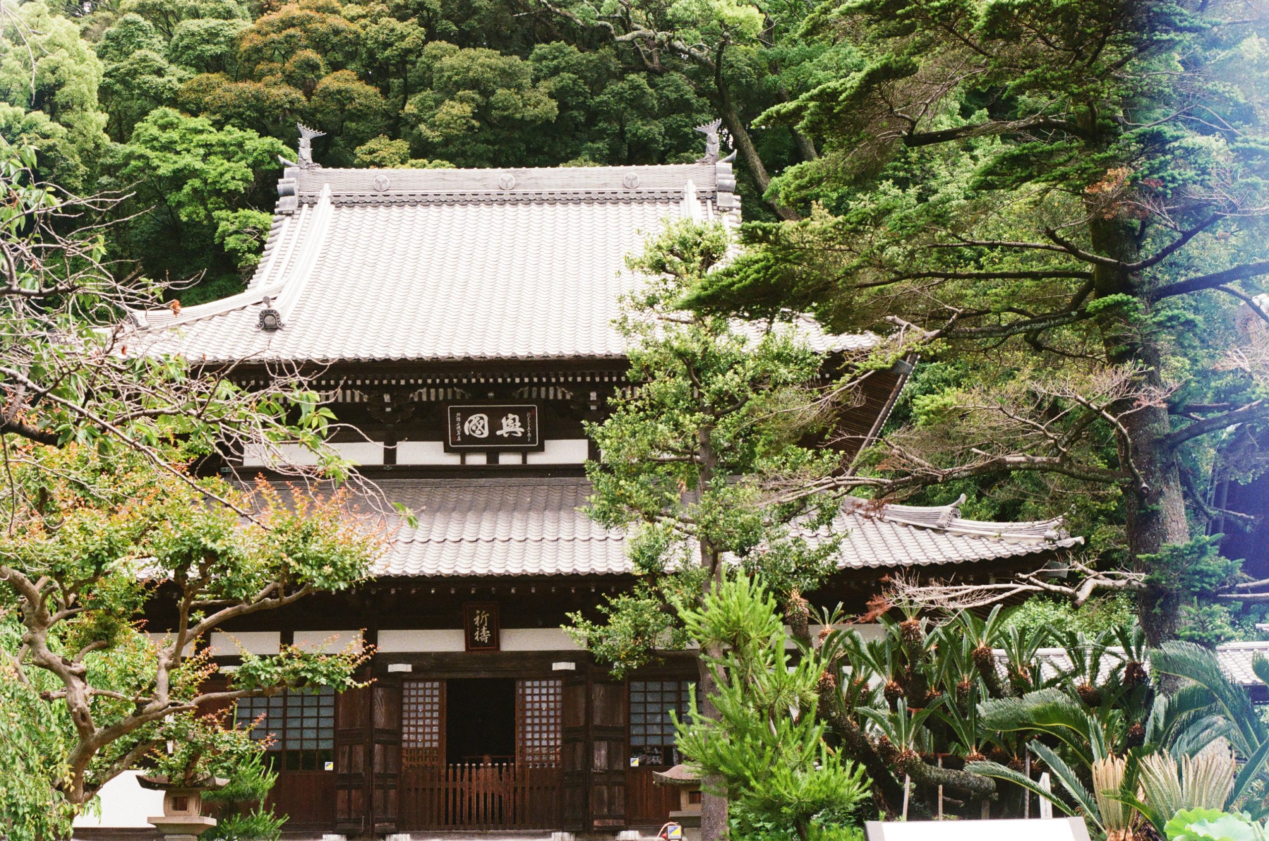 Temple in Kyoto, 2023